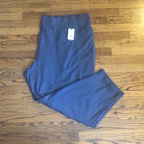 Terra & Sky Pants - NWT plus size 4X relaxed knit gray pants
